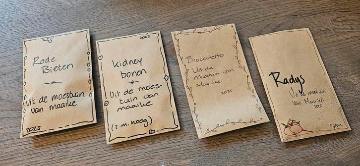 rode bieten zaad, zaden moestuin, Tuin en Terras, Bloembollen en Zaden, Zaad, Gehele jaar, Halfschaduw, Ophalen of Verzenden