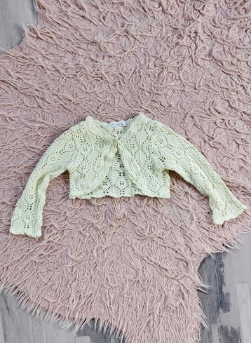 Bolero maat 68 beschikbaar voor biedingen