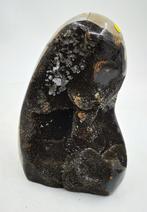 Septarie steen drakensteen PREPARATENSHOP, Verzamelen, Mineralen en Fossielen, Ophalen of Verzenden, Mineraal