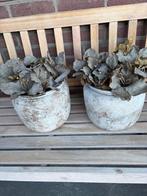Sober en stoer potten compleet  32,50, Huis en Inrichting, Woonaccessoires | Vazen, Ophalen, Overige materialen, Overige kleuren