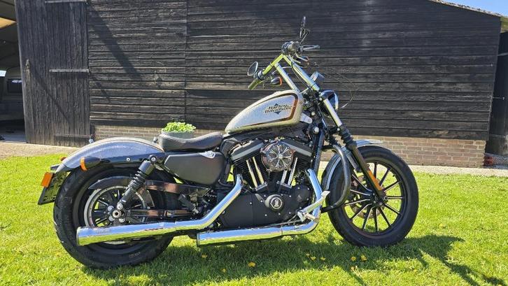 Harley-Davidson XL 883 Sportster IN PRIJS VERLAAGD, Motoren, Motoren | Harley-Davidson, Particulier, Chopper, meer dan 35 kW, 2 cilinders