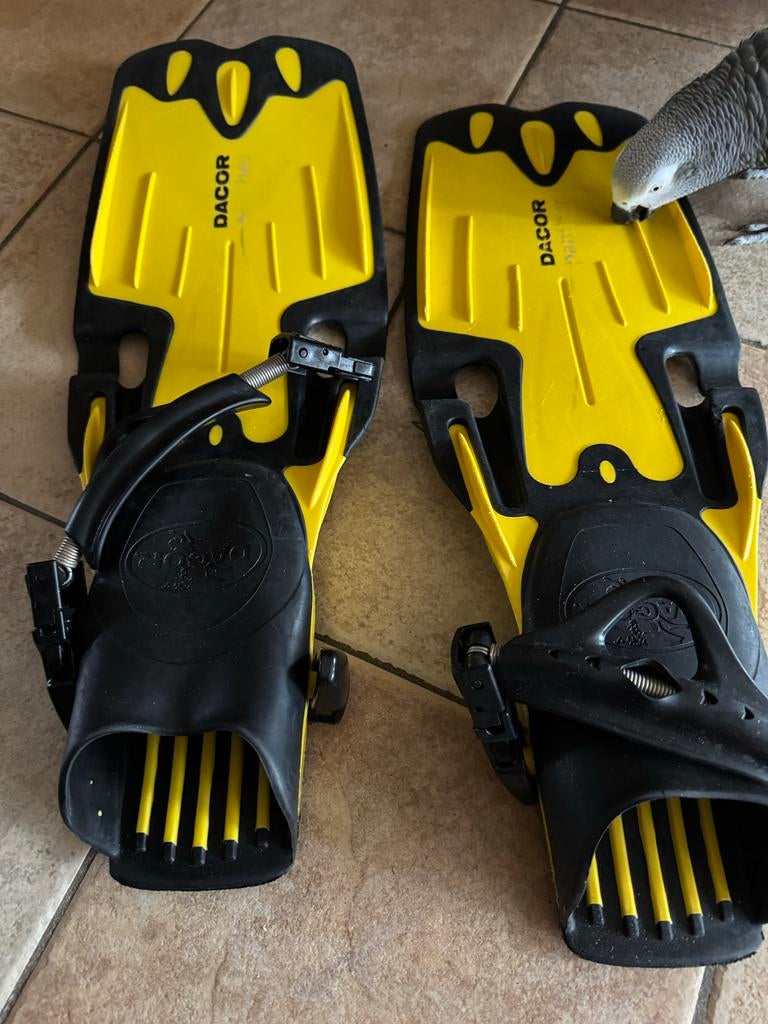 Dacor Duikvinnen Small - Handige Sluiting, Watersport en Boten, Duiken, Ophalen of Verzenden, Gebruikt, Zwem- of Duikvliezen