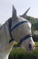Rambo UV vliegenkap maat pony met neusflap, Ophalen of Verzenden