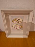 Prachtige oesters in 3d lijst, Minder dan 50 cm, Verzenden, Zo goed als nieuw, Minder dan 50 cm