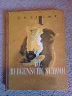 Kunstboeken De Bergensche School, Gelezen, Ophalen of Verzenden, Schilder- en Tekenkunst