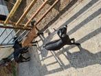 Dwerggeit lammetjes te koop, Dieren en Toebehoren, Schapen, Geiten en Varkens, Meerdere dieren, Geit, 0 tot 2 jaar
