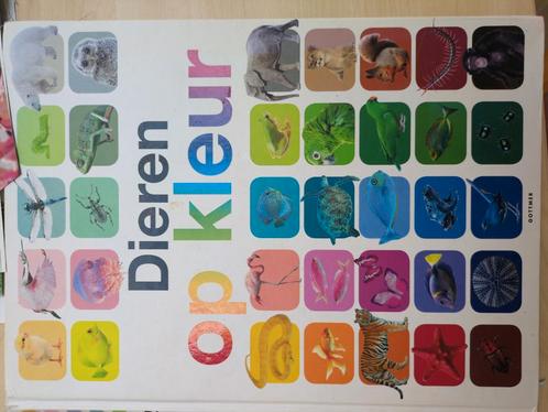 GEZOCHT Anita Ganeri - Dieren op kleur, Boeken, Kinderboeken | Jeugd | onder 10 jaar, Zo goed als nieuw, Non-fictie, Ophalen