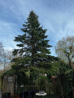 Hout ( wel zelf kappen), Tuin en Terras, Haardhout, Ophalen