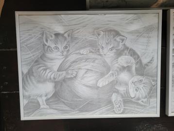 Tekeningen van katten beschikbaar voor biedingen