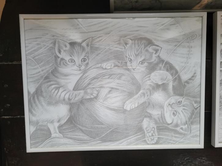 Tekeningen van katten, Antiek en Kunst, Kunst | Tekeningen en Foto's, Ophalen of Verzenden