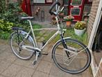 Gazelle Fuente. Nieuwe ketting en cassete. Framemaat 57, Ophalen, Zo goed als nieuw, 57 tot 61 cm, Meer dan 20 versnellingen