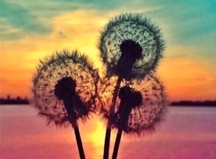 DP Kleuren V.S. Size:20x20cm 34 Kleuren, Hobby en Vrije tijd, Knutselen, Nieuw, Ophalen of Verzenden