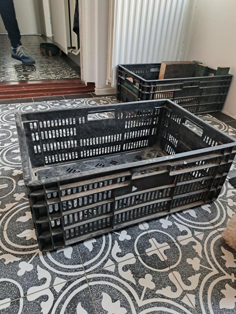 Stapelbare kratten - stevig en handig, Ophalen, Gebruikt, 40 tot 60 cm, 50 tot 75 cm