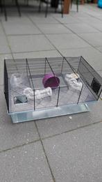Hamsterkooi, Dieren en Toebehoren, Knaagdieren en Konijnen | Hokken en Kooien, Ophalen, Kooi, Gebruikt, Hamster