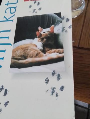 Mijn Kat - Boek beschikbaar voor biedingen