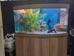 Juwel Vision 260LED aquarium, Ophalen, Gebruikt, Leeg aquarium