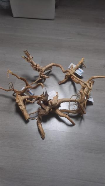 spider wood  beschikbaar voor biedingen