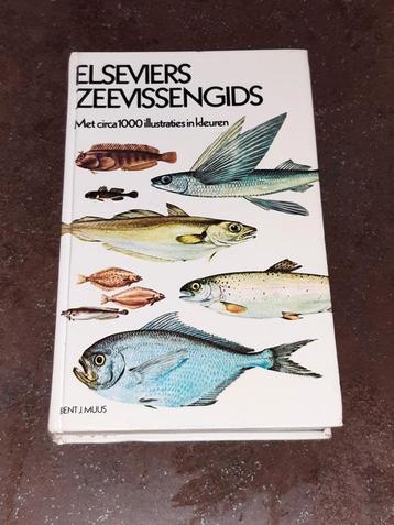 Elseviers zeevissengids beschikbaar voor biedingen