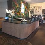 Sushi bar, Ophalen, Gebruikt, Barinrichting