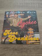 Andre Van Duin Koos Grandioos - Ayohee, 1 single, Ophalen of Verzenden, Gebruikt, Nederlandstalig