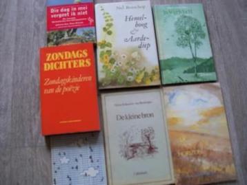 In Vogelvlucht, en andere gedichtenbundels beschikbaar voor biedingen