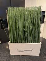 Kunstplant met pot, Ophalen, Zo goed als nieuw