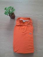 Lacoste polo, Verzenden, Lacoste, Oranje, Zo goed als nieuw