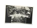Ede - Groeten uit 't Hazendal. Poststempel 1952, Verzenden, 1940 tot 1960, Gelopen, Gelderland