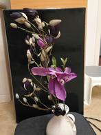 Mooie magnolia's te koop, Ophalen of Verzenden, Zo goed als nieuw