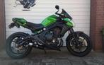 Kawasaki ER6N, Particulier, Naked bike