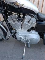 Harley Davidson Sportster XL883C Custom, 2 cilinders, Chopper, 883 cc, Particulier