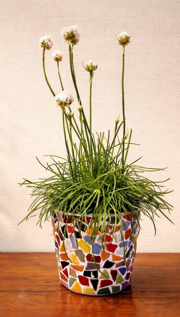 Mozaiek doe het zelf pakket kleurrijke bloempot, Ophalen of Verzenden, Nieuw