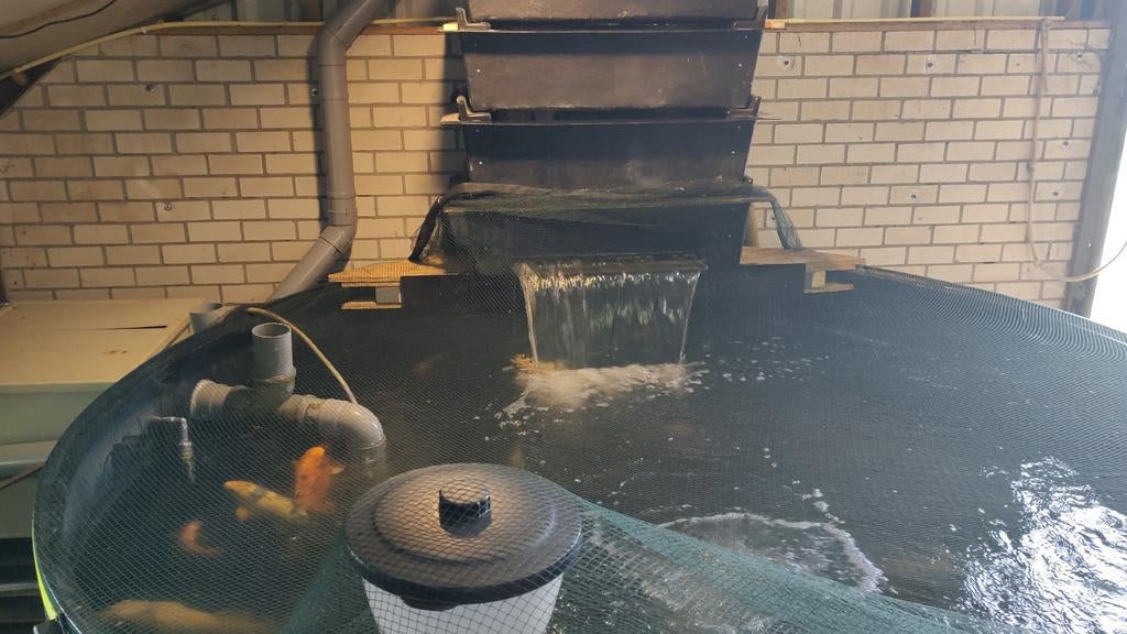 Ronde vijver of opkweekbak ca 11 kuub, Tuin en Terras, Vijvers, Ophalen