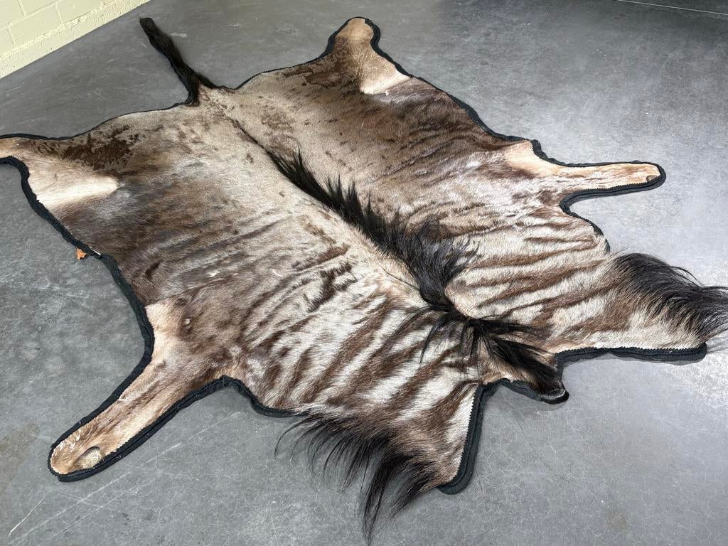 Prachtige Wildebeest Huid - Unieke Decoratie, Huis en Inrichting, Ophalen, 100 tot 150 cm, N, J