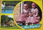 Mooi Friesland - nieuw, Verzenden, 1980 tot heden, Ongelopen, Friesland