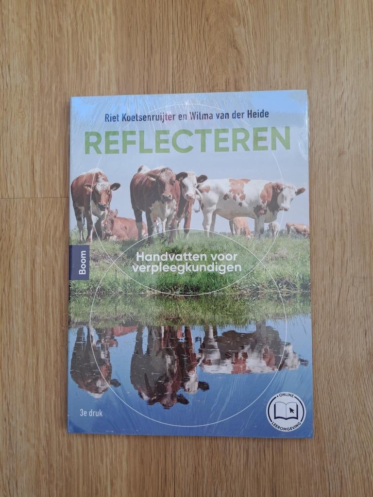 Reflecteren: Handvatten voor verpleegkundigen (Nieuw), Boeken, Riet Koetsenruijter en Wilma van der Heide, Nieuw, Gamma, HBO