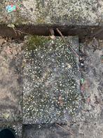 Gratis Grindtegels - ca. 50 stuks, Ophalen, Gebruikt, Minder dan 5 m², Grind