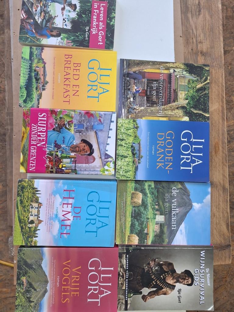 Diverse boeken, waaronder Ilja Gort, Ophalen of Verzenden, Gelezen, Ilja Gort