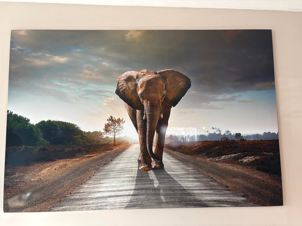 Glazen schilderij met olifant op weg, Ophalen of Verzenden