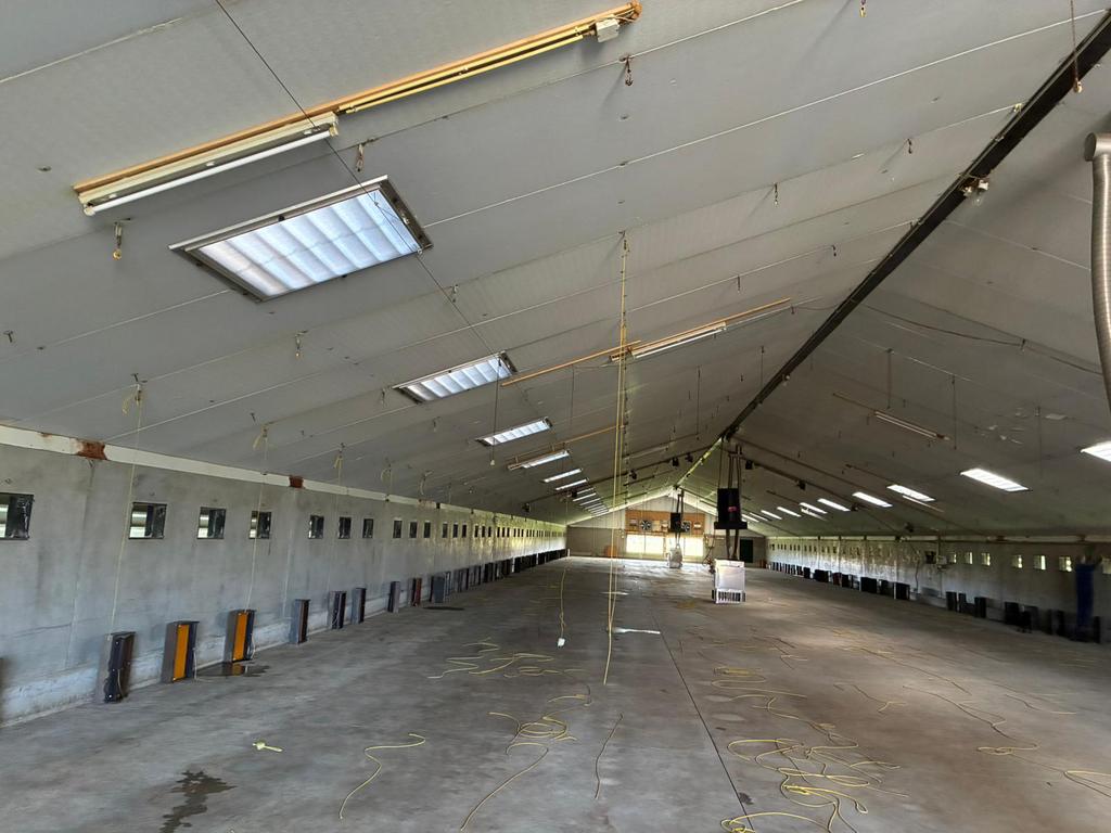 Isolatieplaten, Ophalen, Gebruikt, 15 m² of meer, Piepschuim (Tempex)