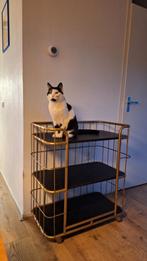 Gouden bakkerskast / trolley met 3 planken, Ophalen, Gebruikt