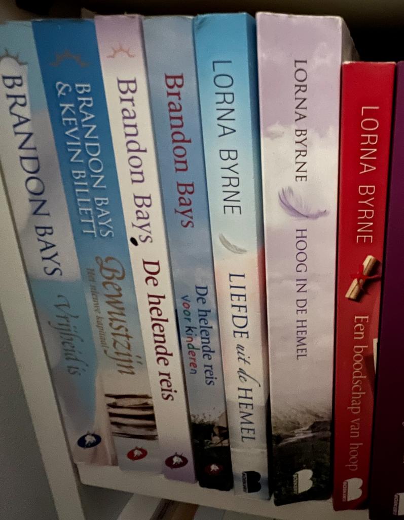 Brandon Bays - Lorna Byrne - leven lang fit voedselzandloper, Boeken, Ophalen, Zo goed als nieuw