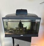 Aquarium en toebehoren met juwel sta meubel, Dieren en Toebehoren, Vissen | Aquaria en Toebehoren, Ophalen, Zo goed als nieuw