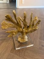 Richmond koraal mette, Ophalen of Verzenden, Nieuw