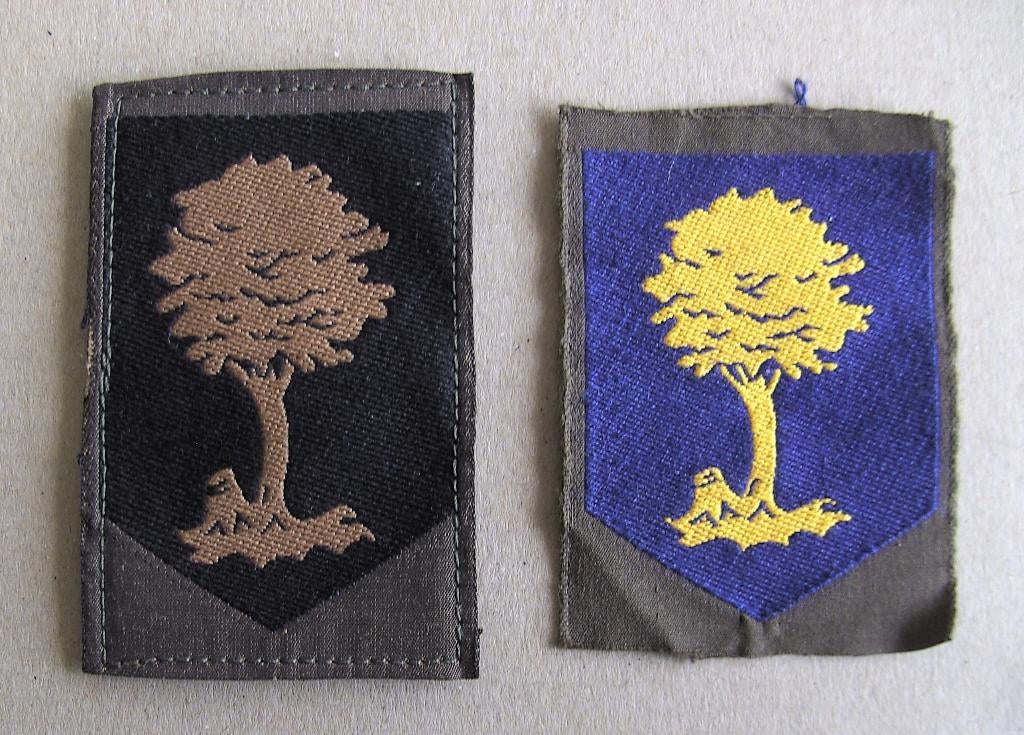 emblemen dt + gvt Commando opleidingen KL, Verzamelen, Militaria | Algemeen, Ophalen of Verzenden, Landmacht, Nederland, Embleem of Badge