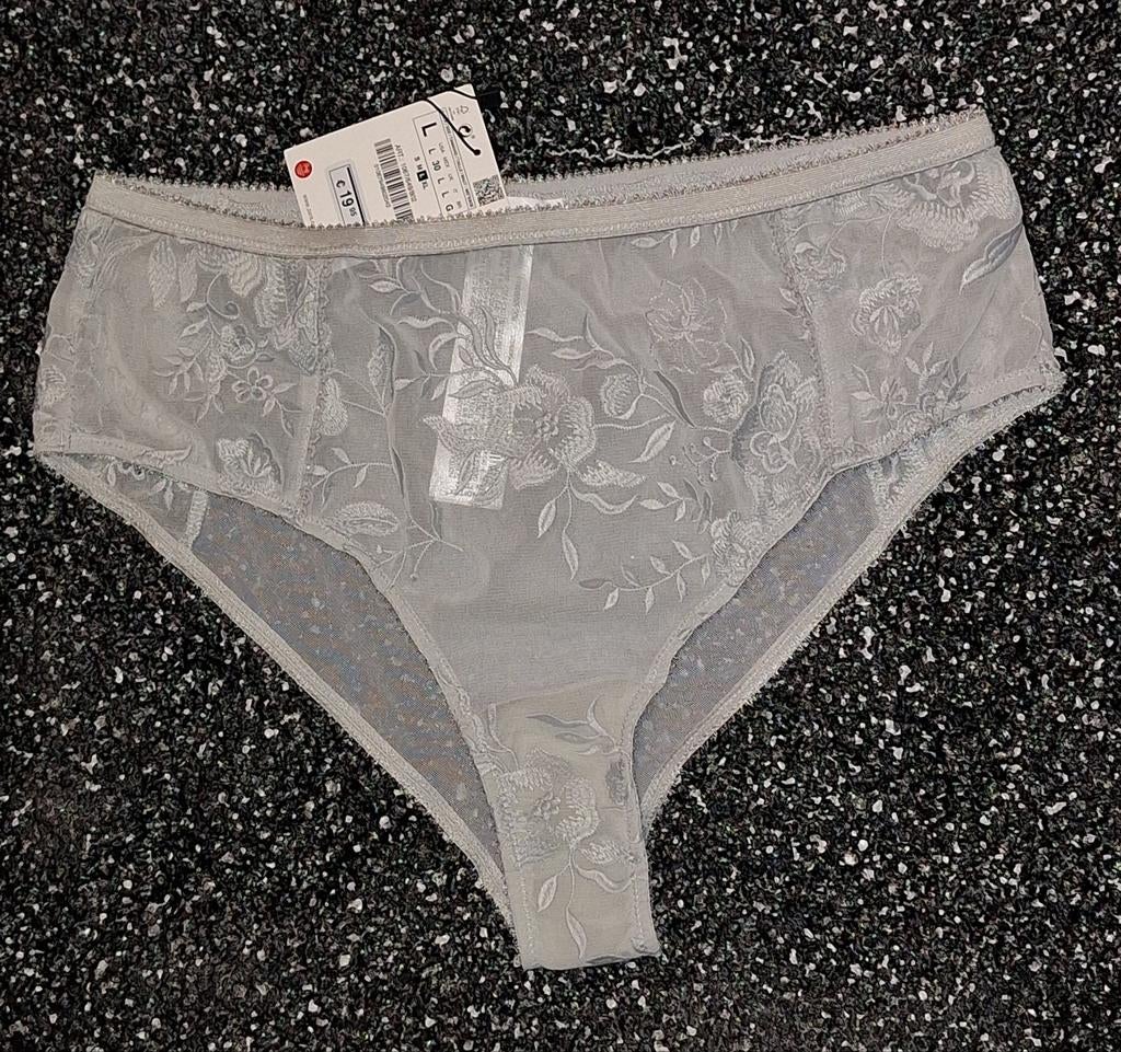 Nieuwe grijze transparante slip van Zara maat L, Kleding | Dames, Ondergoed en Lingerie, Verzenden, Grijs, Slip