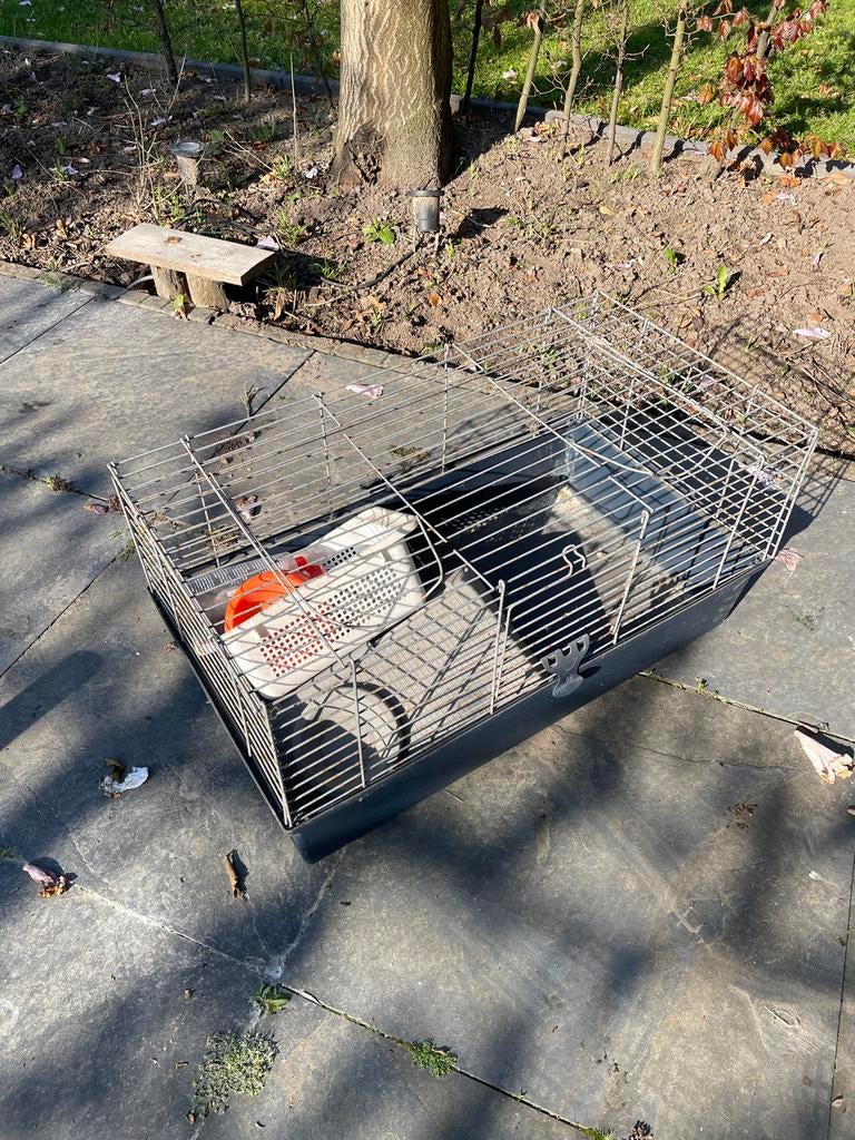 Konijnen of cavia hok, Gebruikt, Konijn, Hok, 75 tot 110 cm