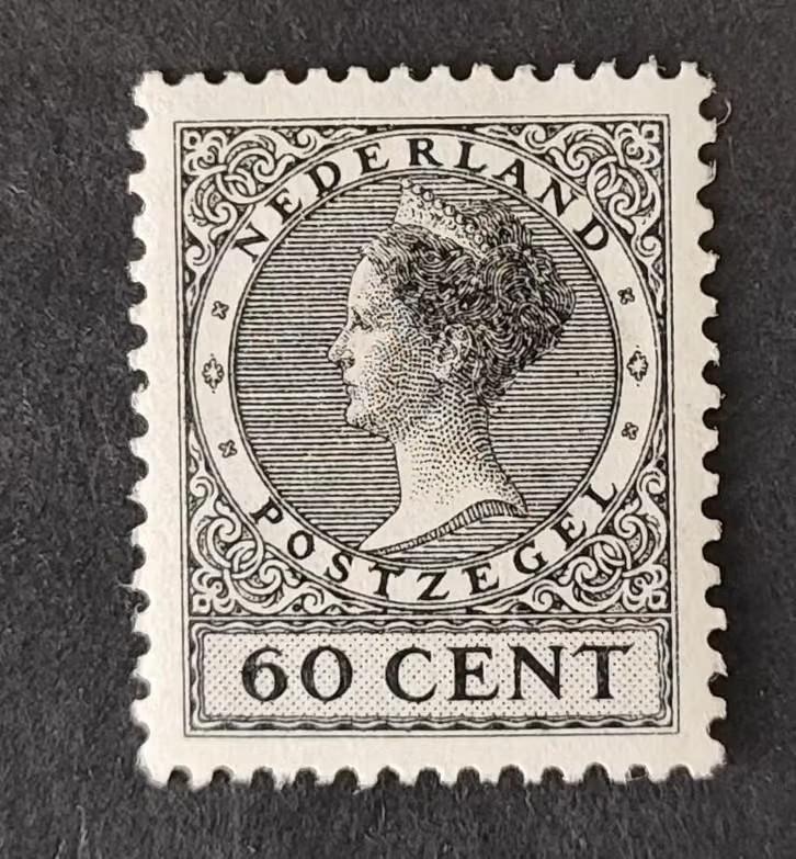 nederland nvph 198 (pf), Postzegels en Munten, Postzegels | Nederland, Verzenden, T/m 1940, Postfris