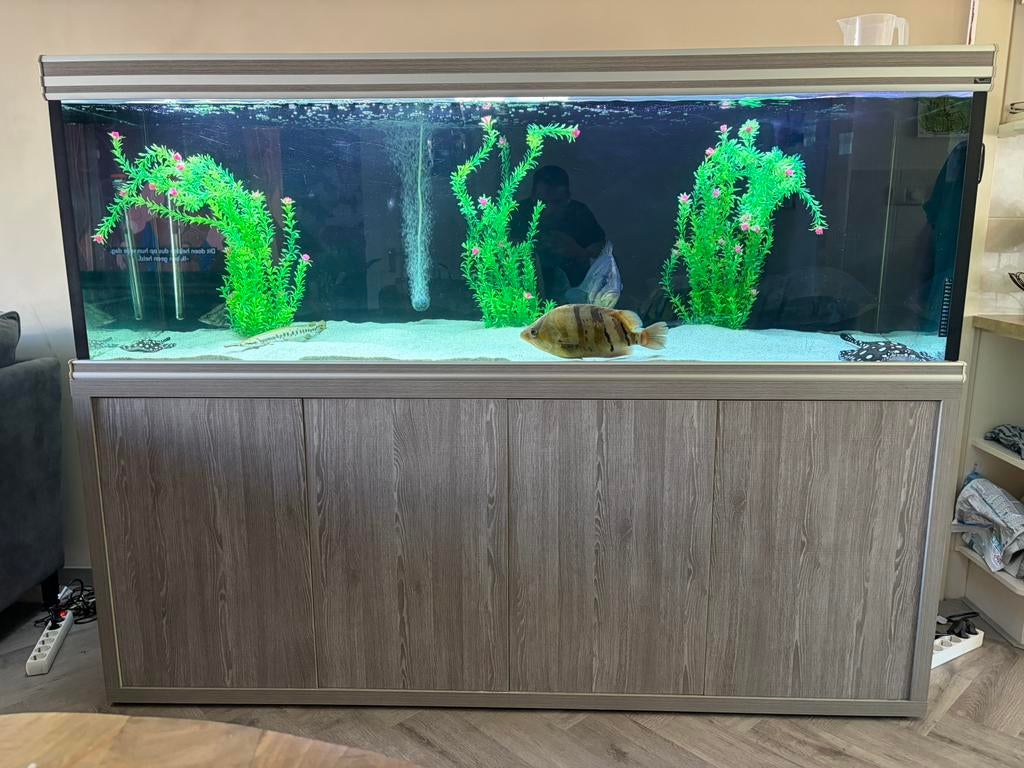 Groot Aquarium Aqualantis incl. Meubel, Dieren en Toebehoren, Vissen | Aquaria en Toebehoren, Ophalen, Gebruikt, Inclusief vissen