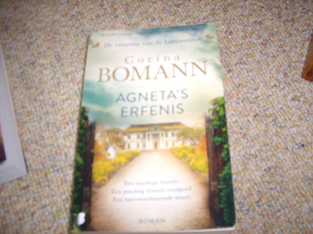 corina Bomann Agnetha,s erfenis, Boeken, Ophalen of Verzenden, Zo goed als nieuw, Corina Bomann